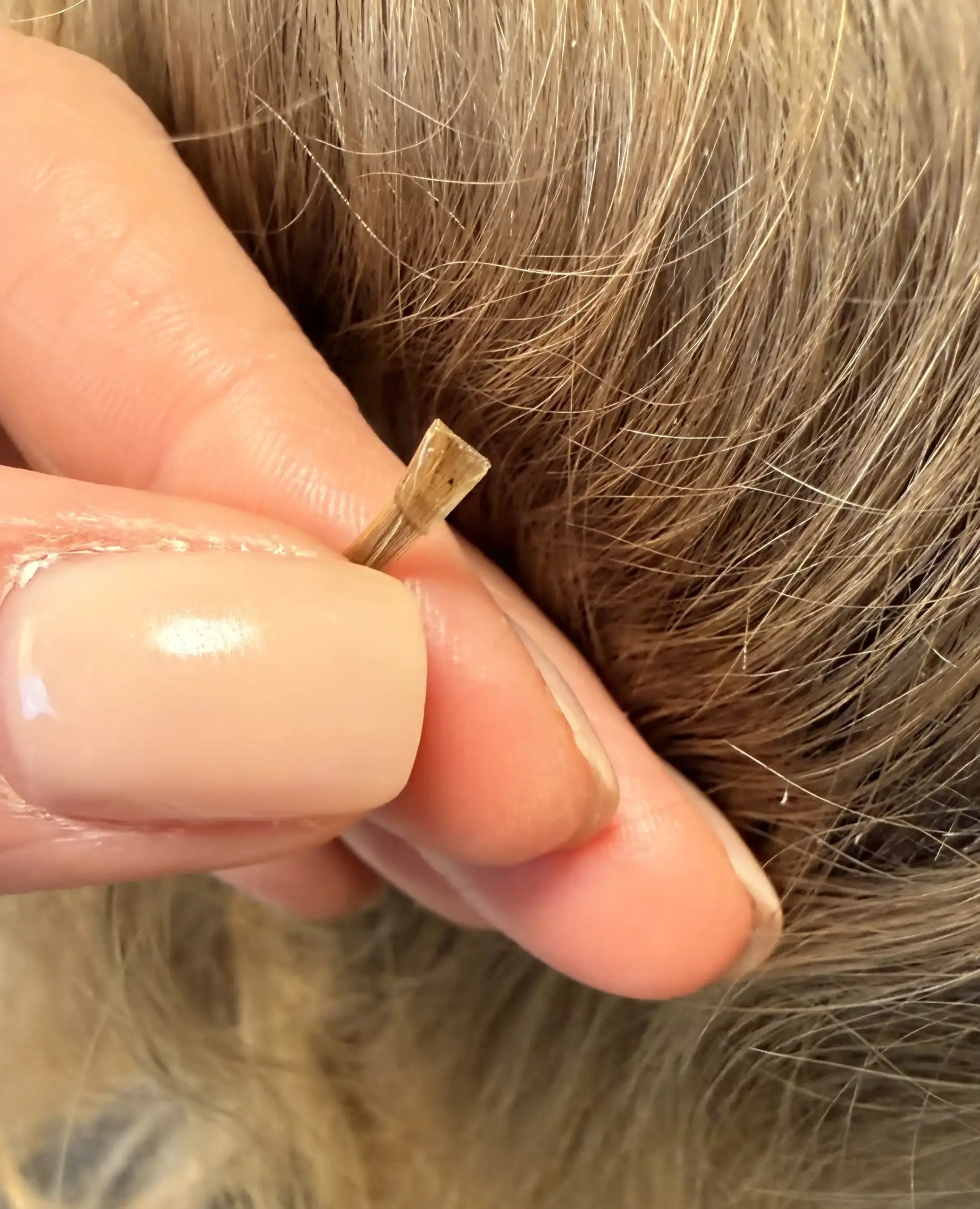 Keratinkapsel-straehne Eingearbeitete feine, blonde Strähne im Haar mit einer Keratinkapsel